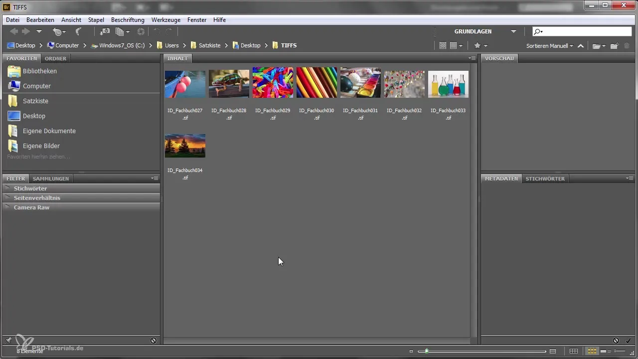 Farbmanagement in Adobe InDesign für hochwertige Druckergebnisse