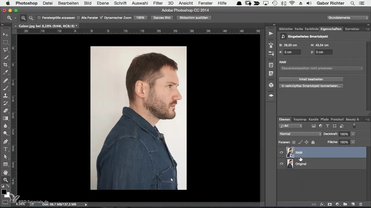 Portret creativ de caracter în Photoshop - dezvoltarea imaginii simplificată