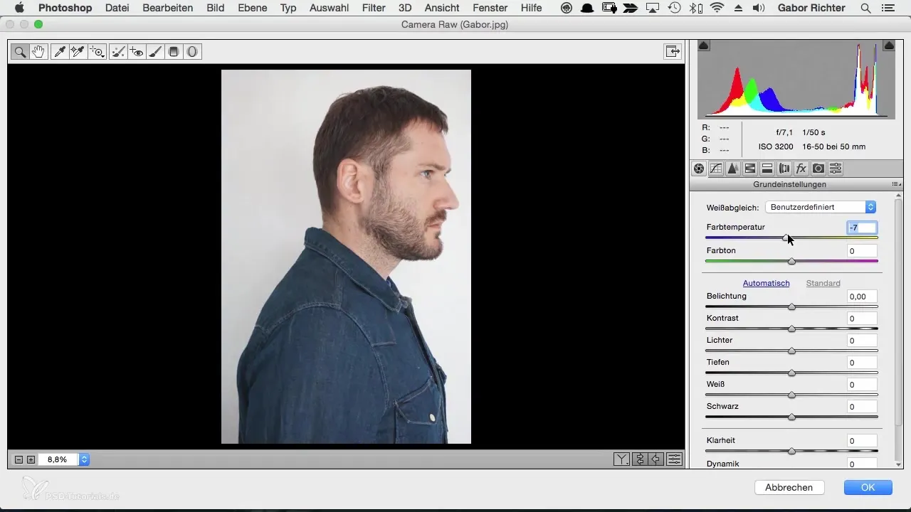 Portret creativ al caracterului în Photoshop - dezvoltarea imaginii făcută ușor