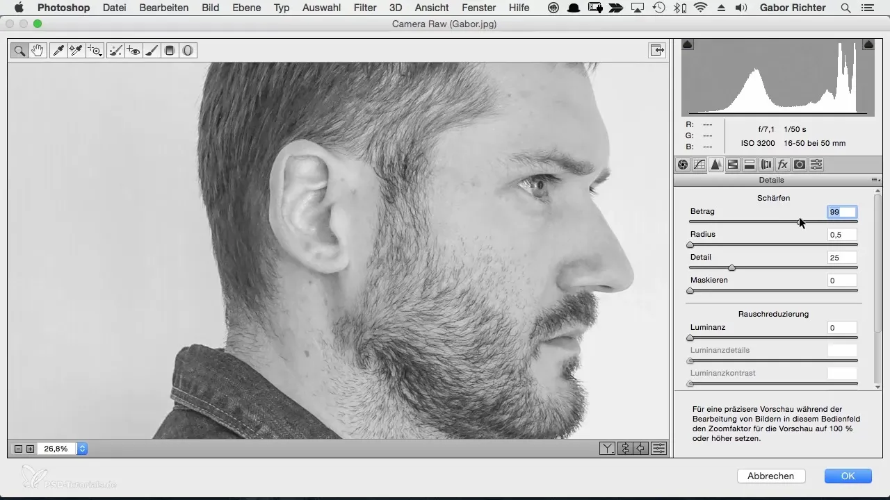 Portret creativ de caracter în Photoshop - dezvoltarea imaginii ușor de realizat