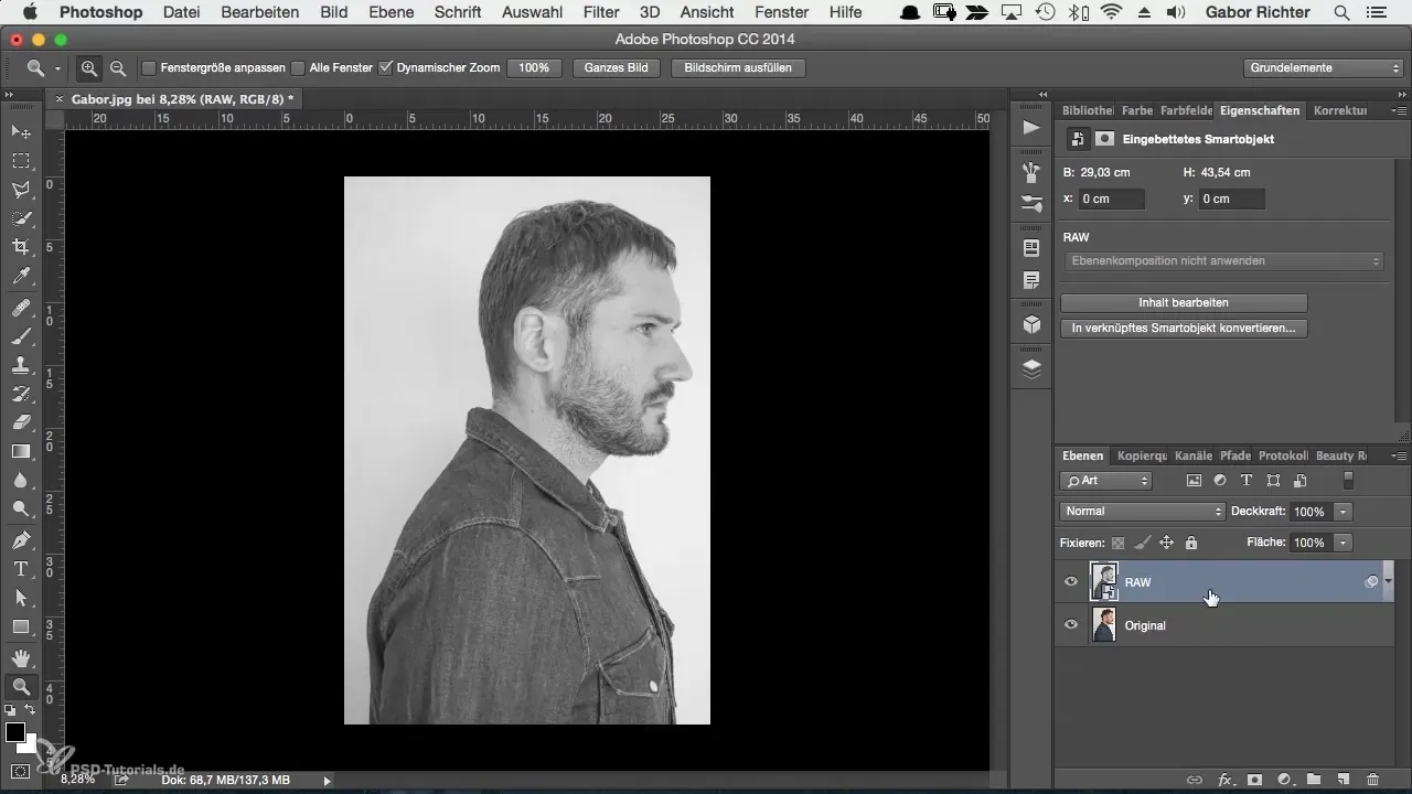 Portret creativ de caracter în Photoshop - dezvoltarea imaginii ușor de realizat