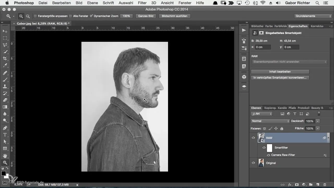 Portret creativ de caracter în Photoshop - dezvoltare a imaginii realizată cu ușurință