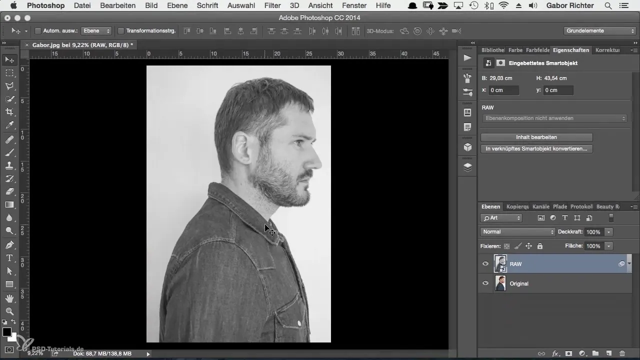 Portret creativ al caracterului: fond simplu de creat