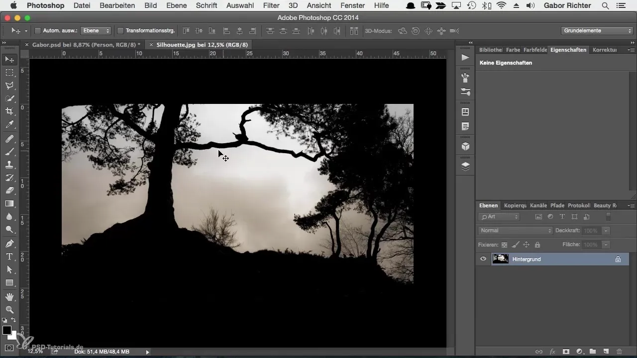 Kreatives Charakterporträt in Photoshop gestalten