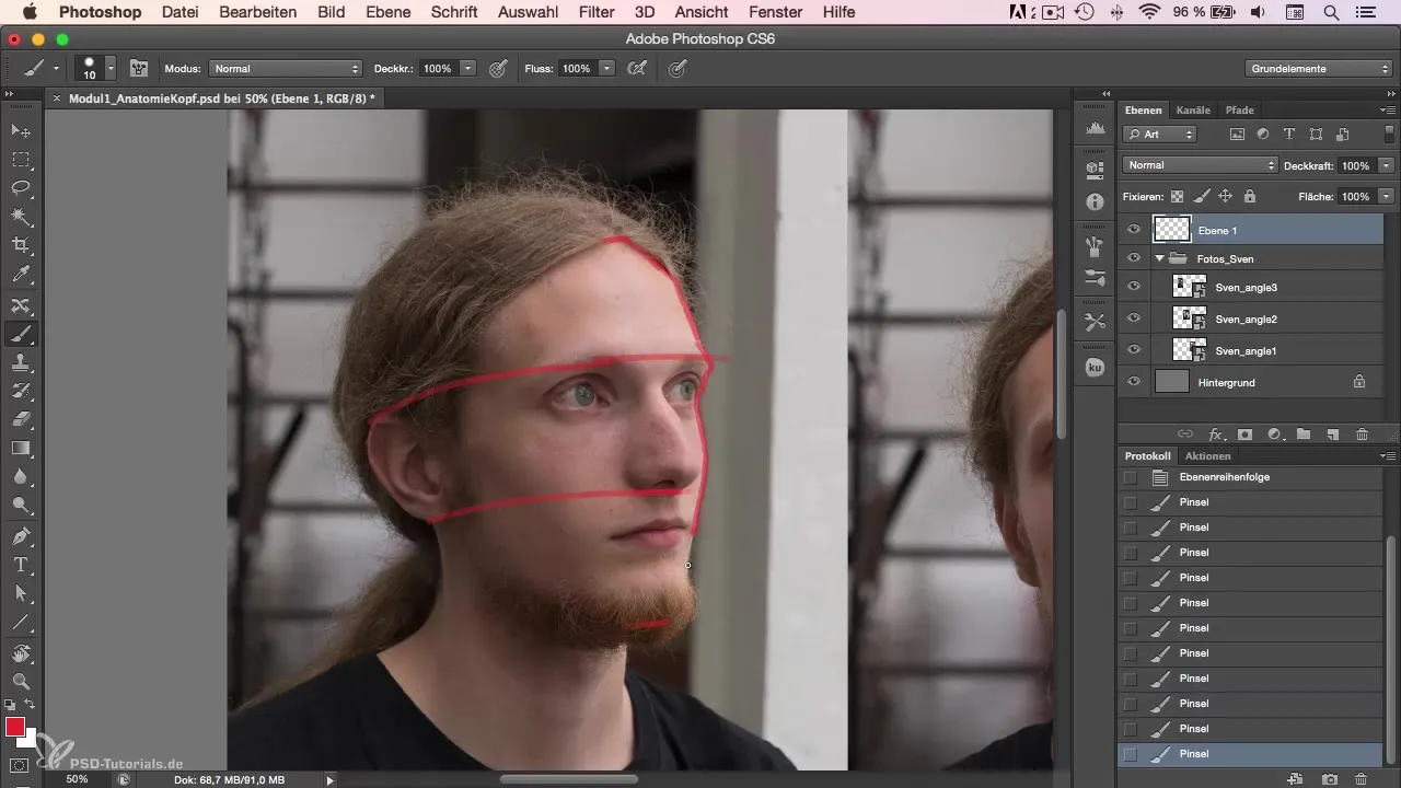 Anatomy of the head in portrait drawing