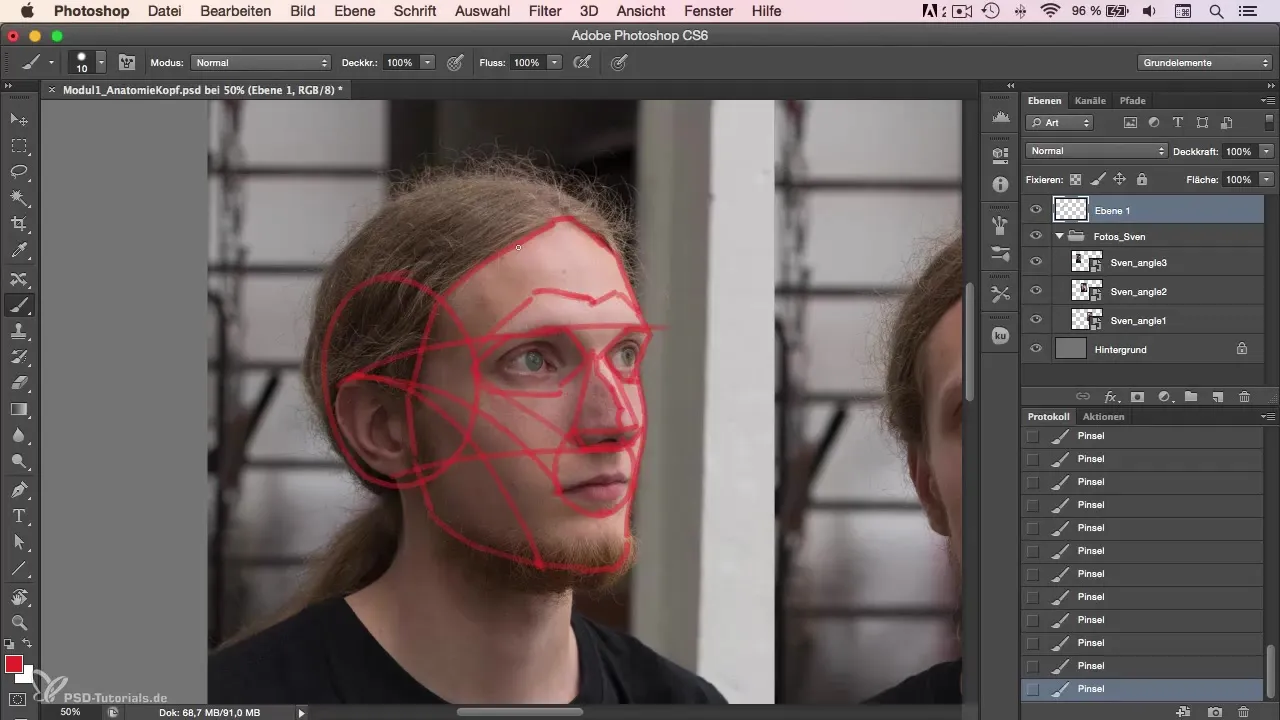 Anatomy of the head in portrait drawing