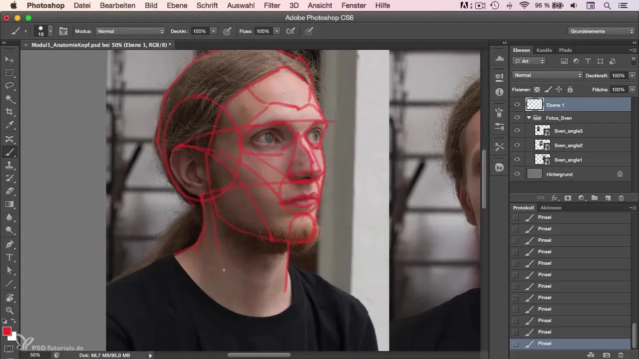 Anatomy of the head in portrait drawing