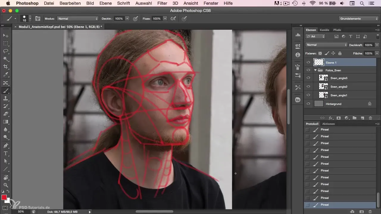 Anatomy of the head in portrait drawing
