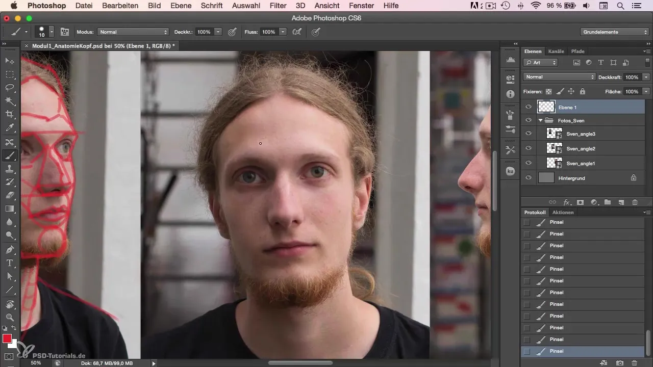 Anatomy of the head in portrait drawing