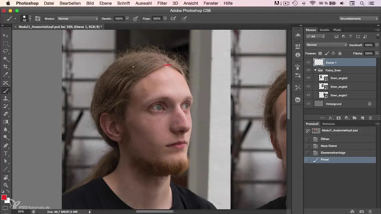 Anatomy of the head in portrait drawing