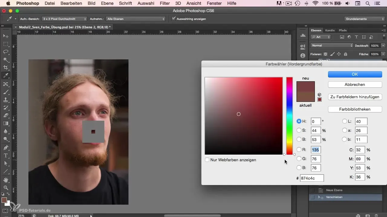 Creare una tavolozza di colori per il Character-Painting in Photoshop