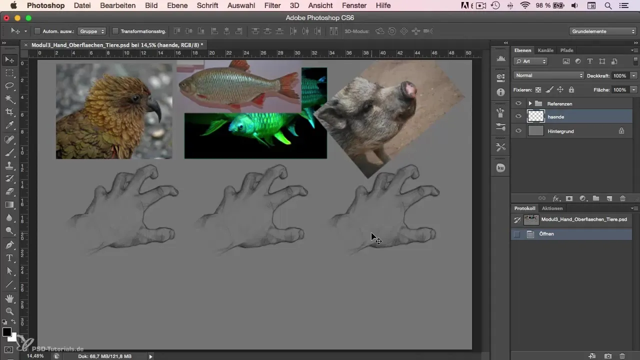 Painting feathers in Photoshop - This is how you can do it