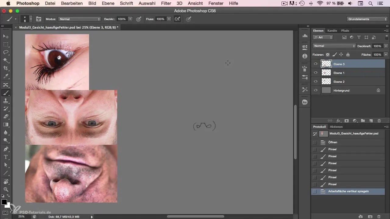 Error in character painting: painting the nose, eyes, and mouth correctly