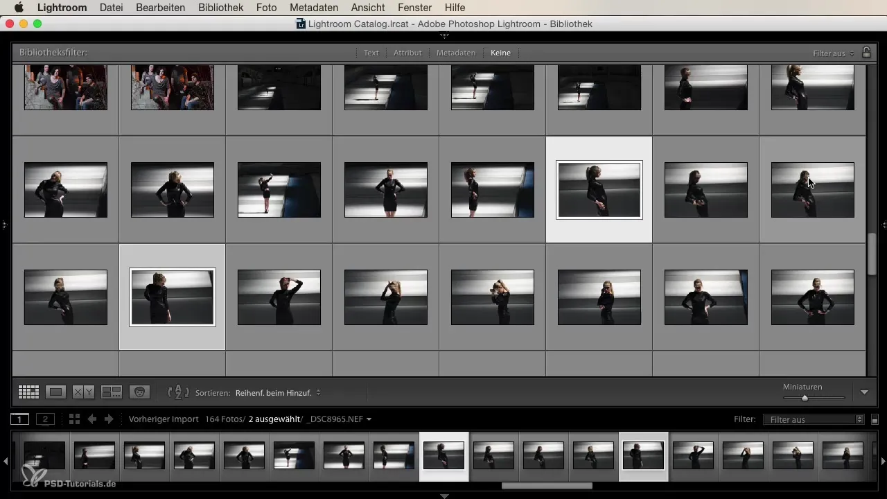 Interfaccia di Lightroom – Così navighi in modo efficiente