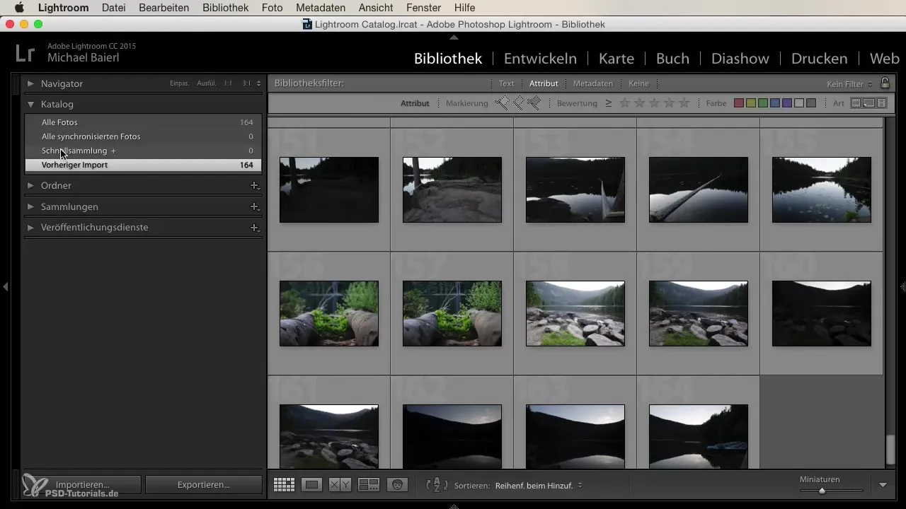 Interfaccia di Lightroom – Così navighi in modo efficiente