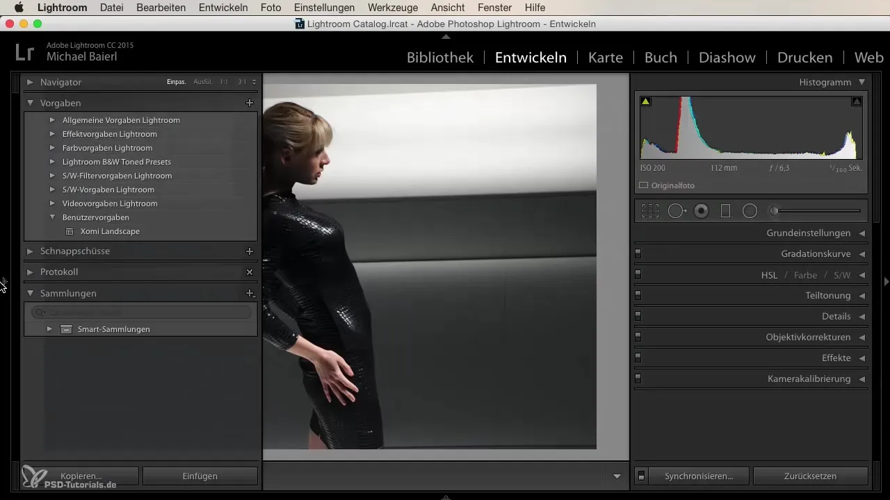 Interfaccia di Lightroom – Ecco come navigare in modo efficiente