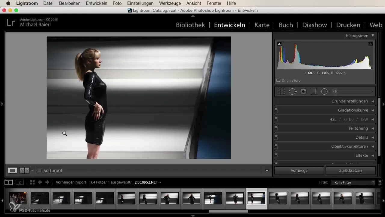 Interfaccia di Lightroom – Così navighi in modo efficiente