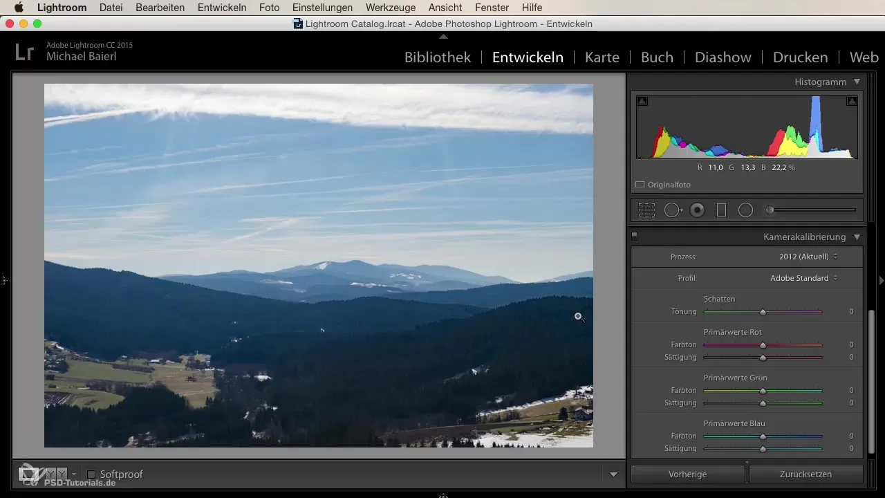Lightroom Desarrollar: La vista completa para principiantes