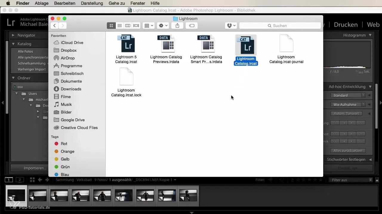Efficiently manage catalogs in Lightroom