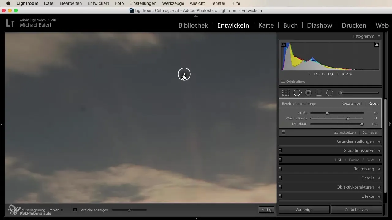 Retouching made easy with the spot healing tool