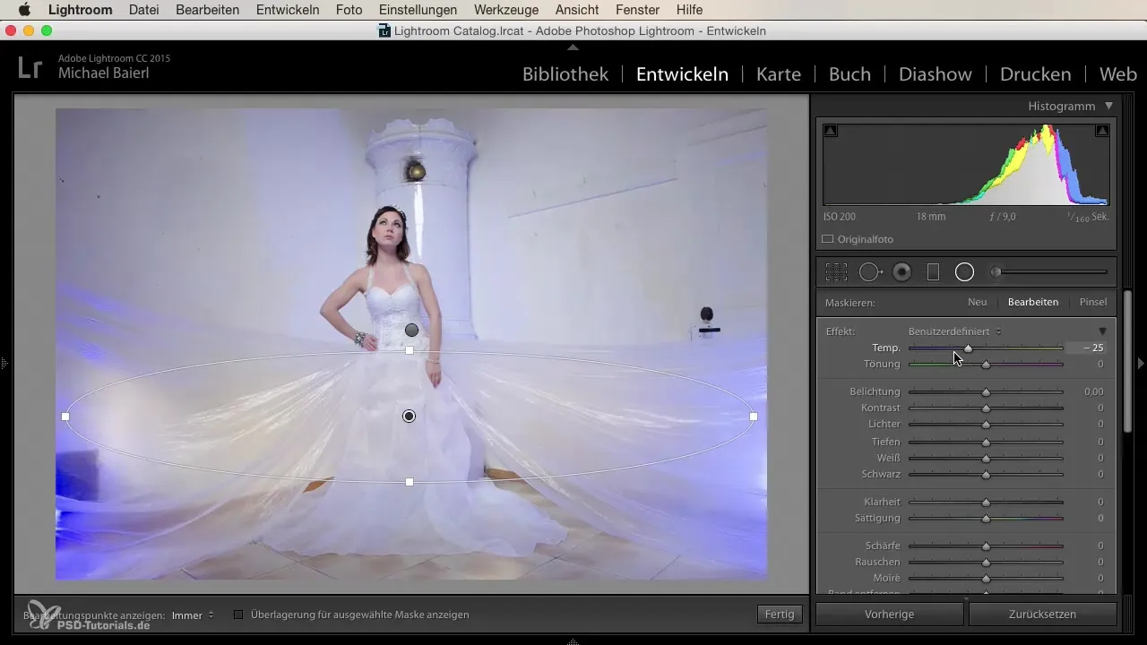 Utilizzare in modo creativo i radiali in Lightroom