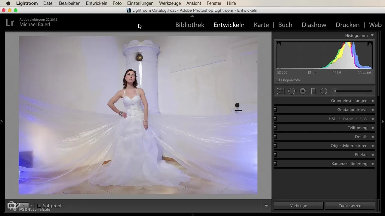 Utilizzare in modo creativo i verläufe radiali in Lightroom