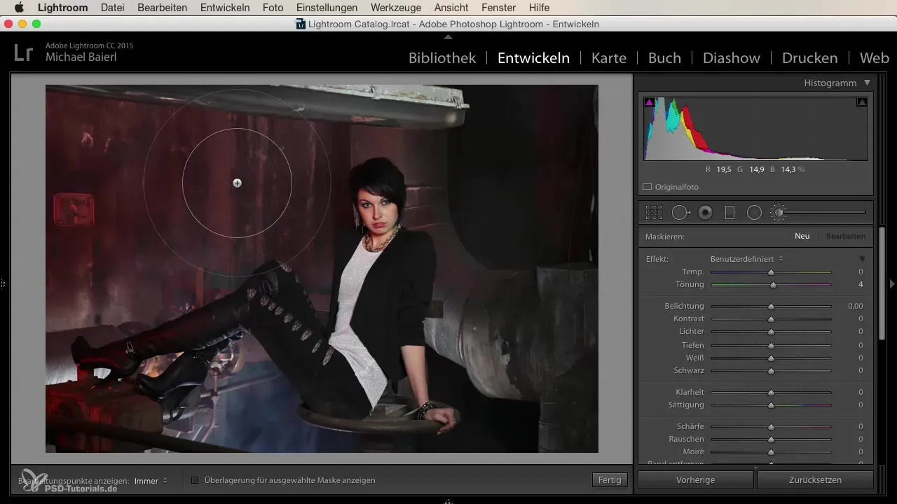Korrekturpinsel in Lightroom effectief gebruiken