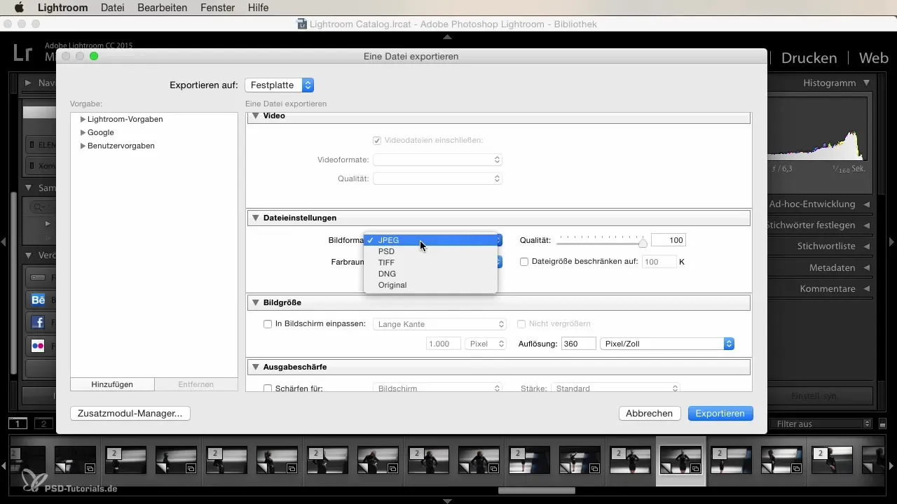 Lightroom Export: The best tips for beginners