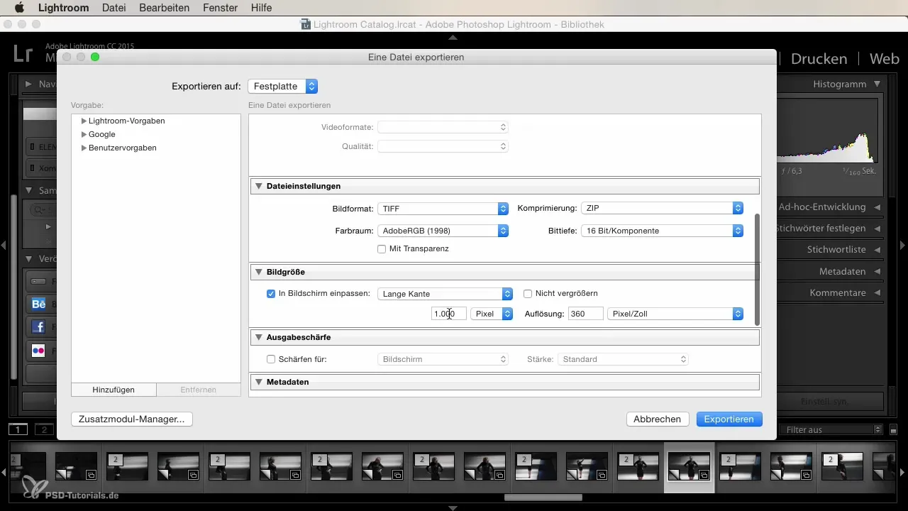 Lightroom Export: The best tips for beginners