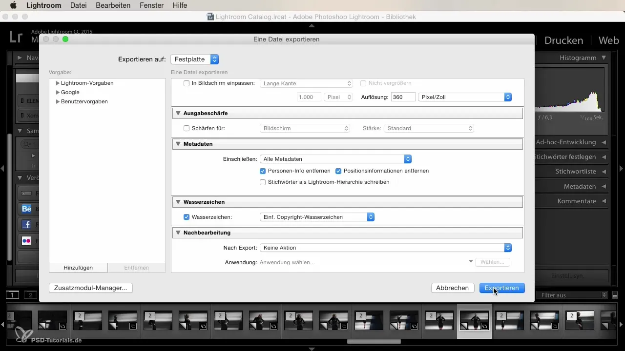 Lightroom Export: The best tips for beginners