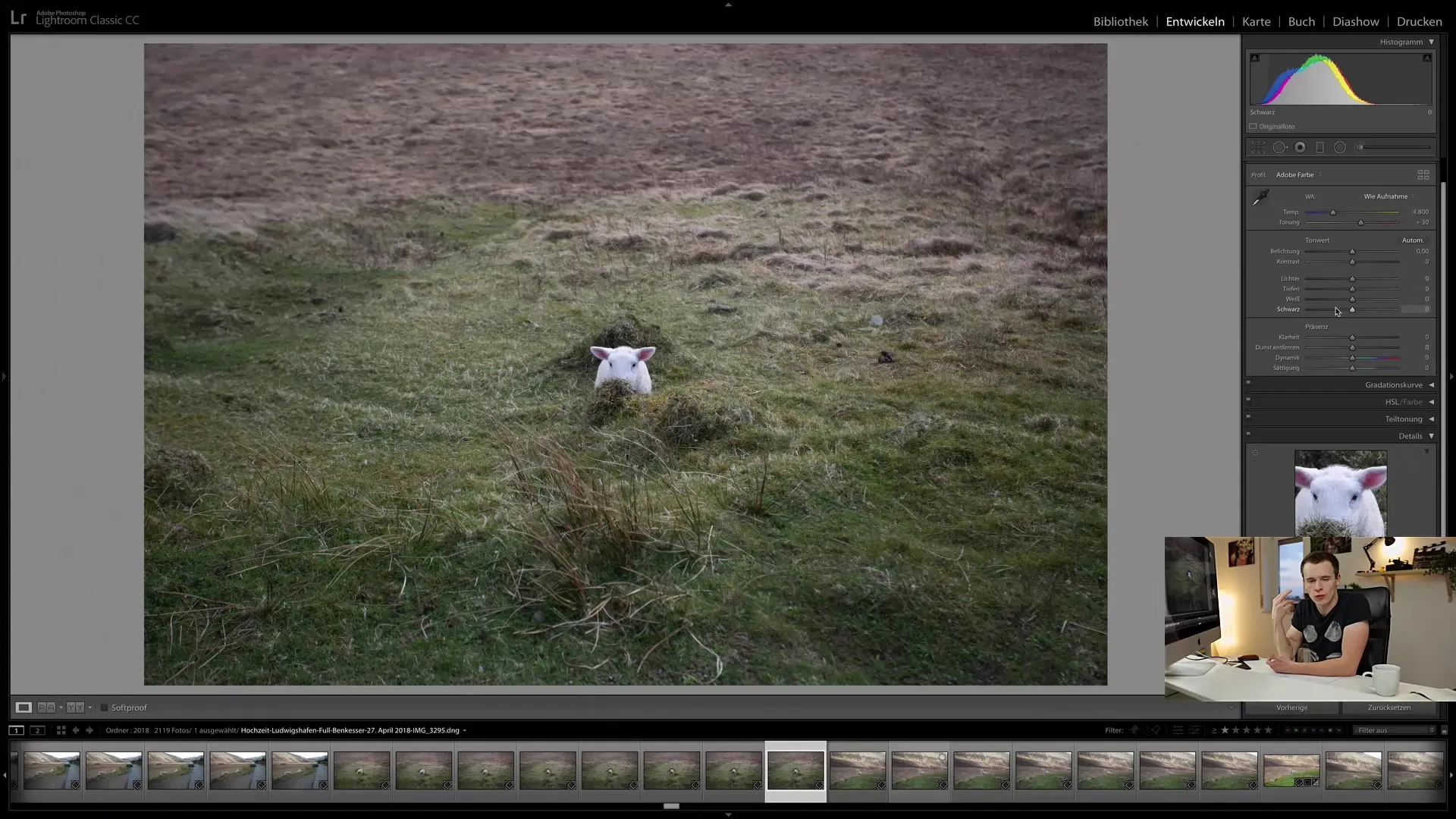 Regolazioni locali in Lightroom Classic CC: Una guida completa