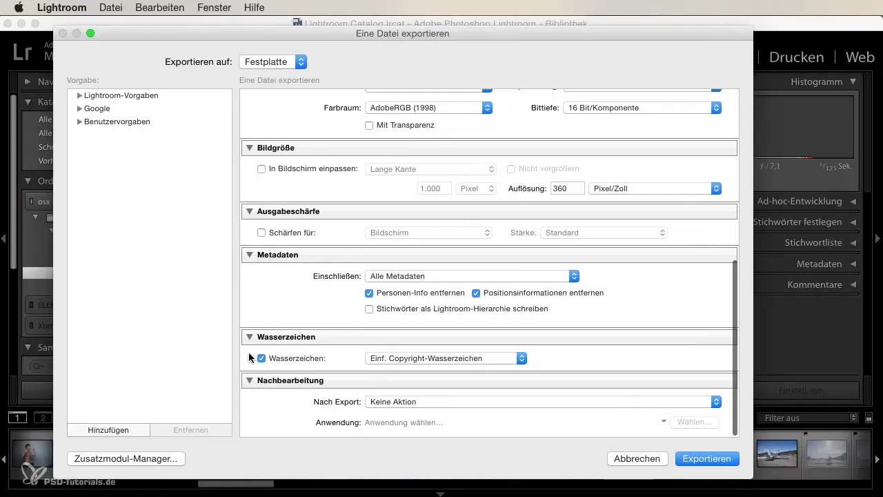 Filigrana in Lightroom: Dare protezione alle tue immagini