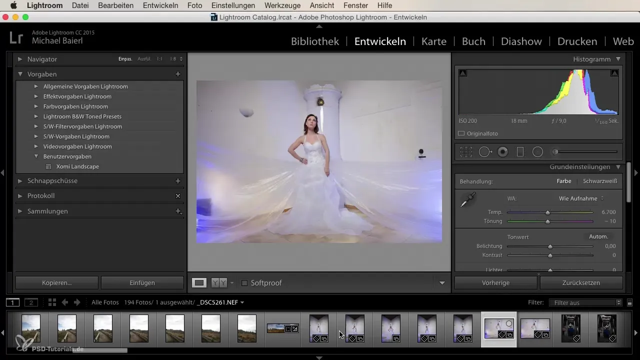 Effektive Serienentwicklung in Lightroom für Einsteiger