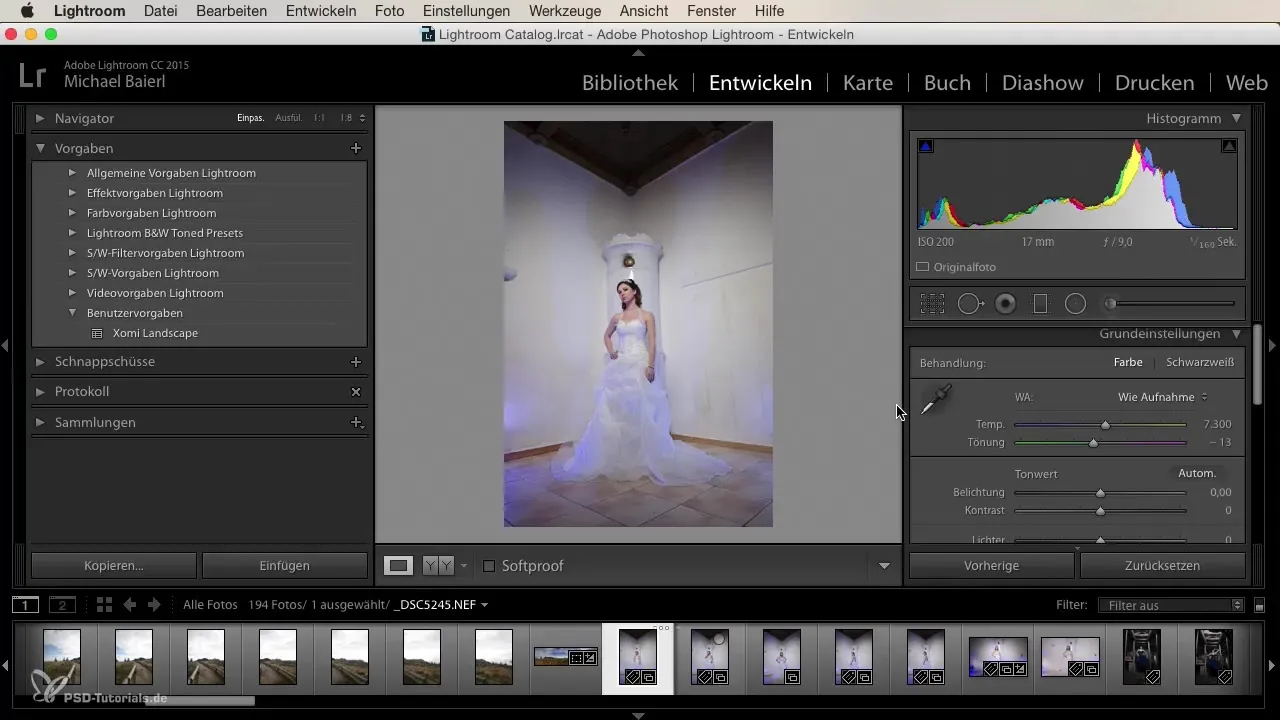 Effektive Serienentwicklung in Lightroom für Einsteiger