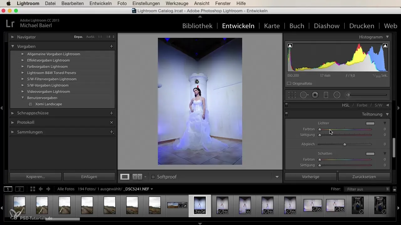 Effektive Serienentwicklung in Lightroom für Einsteiger