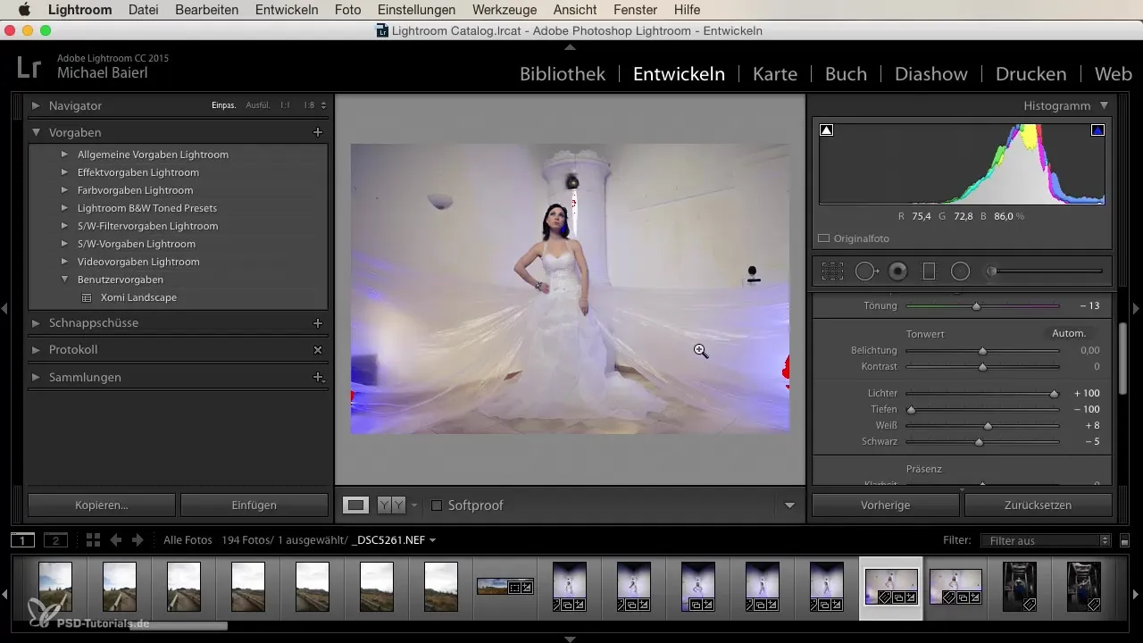 Effektive Serienentwicklung in Lightroom für Einsteiger