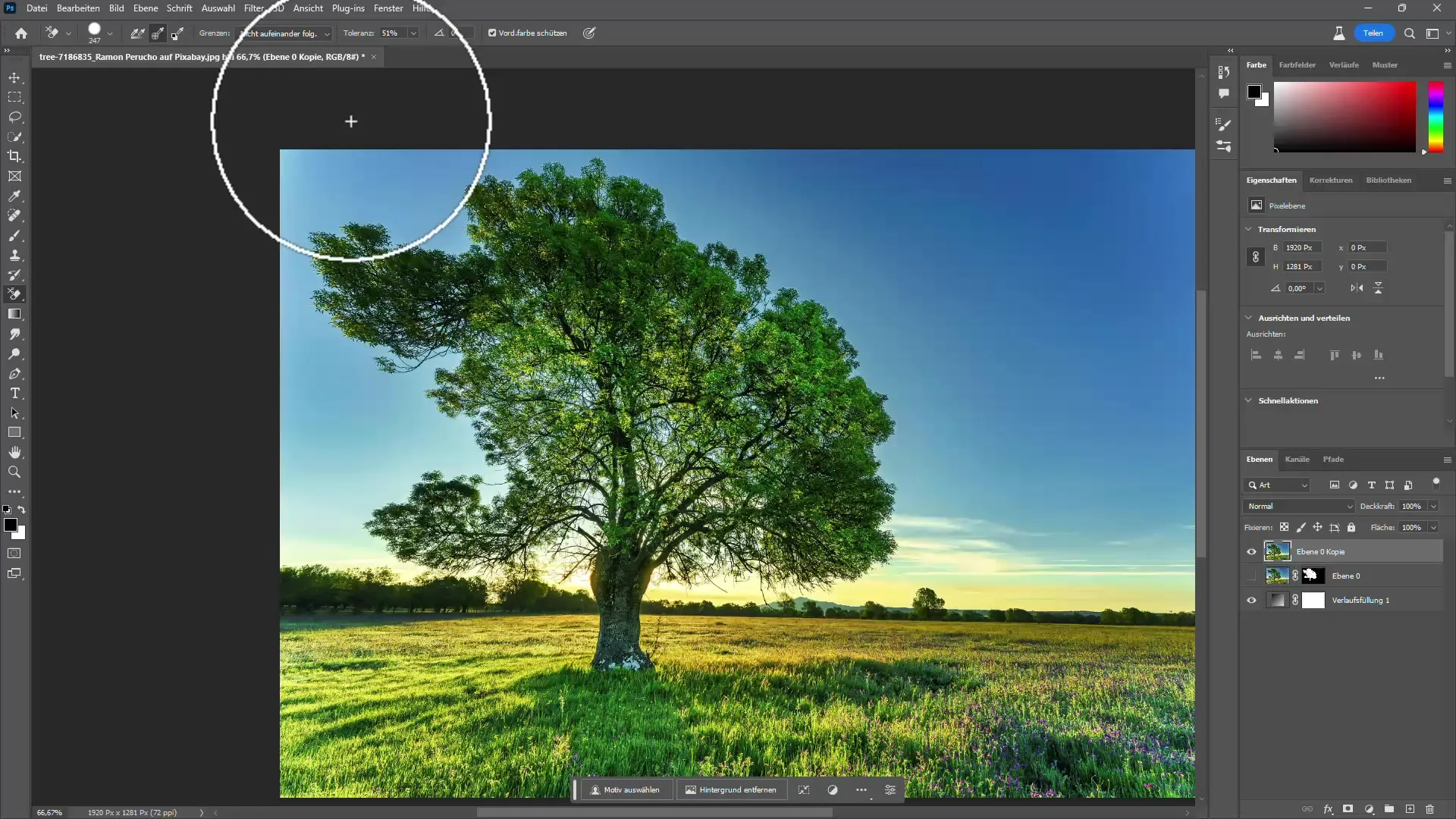Instruksjon for å klippe ut trær i Photoshop