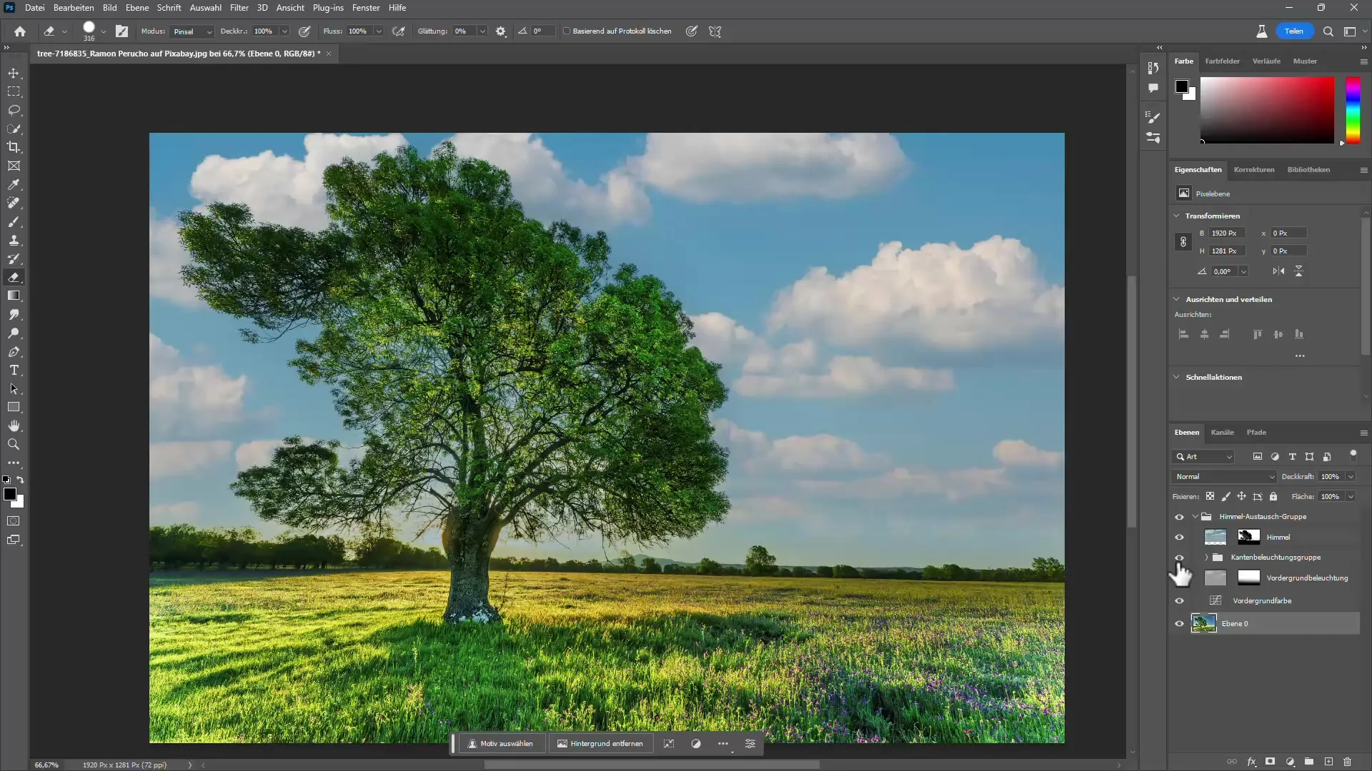 Veiledning for utklipping av trær i Photoshop