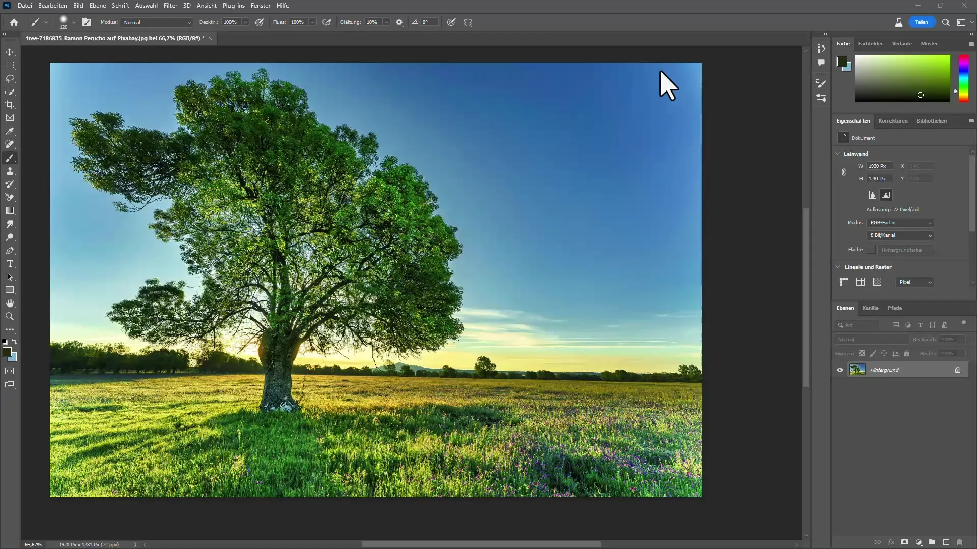 Instruksjoner for å fristille trær i Photoshop