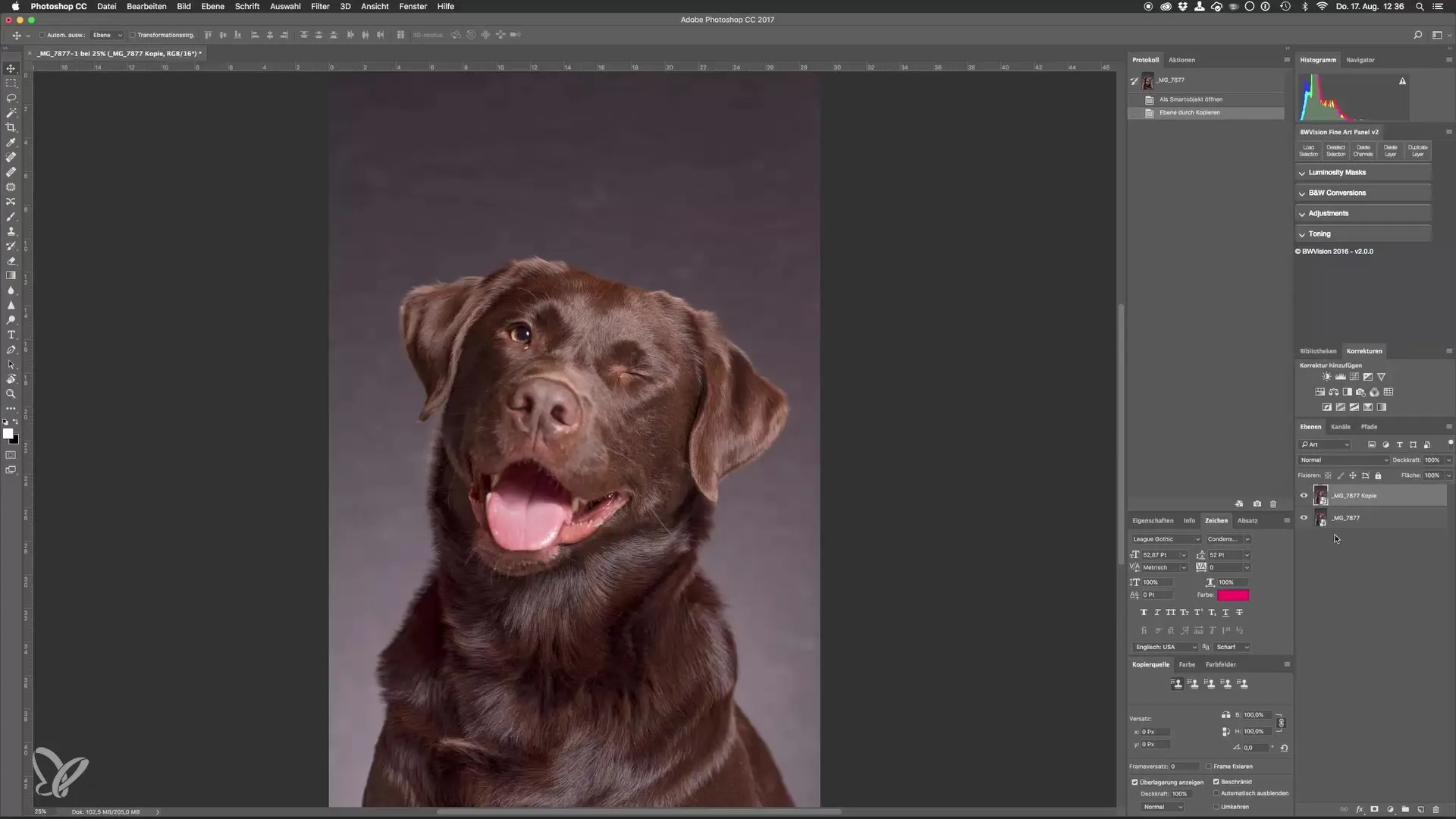 Professionelle Hundeporträts mit Photoshop erstellen Professionelle Hundeporträts mit Photoshop erstellen