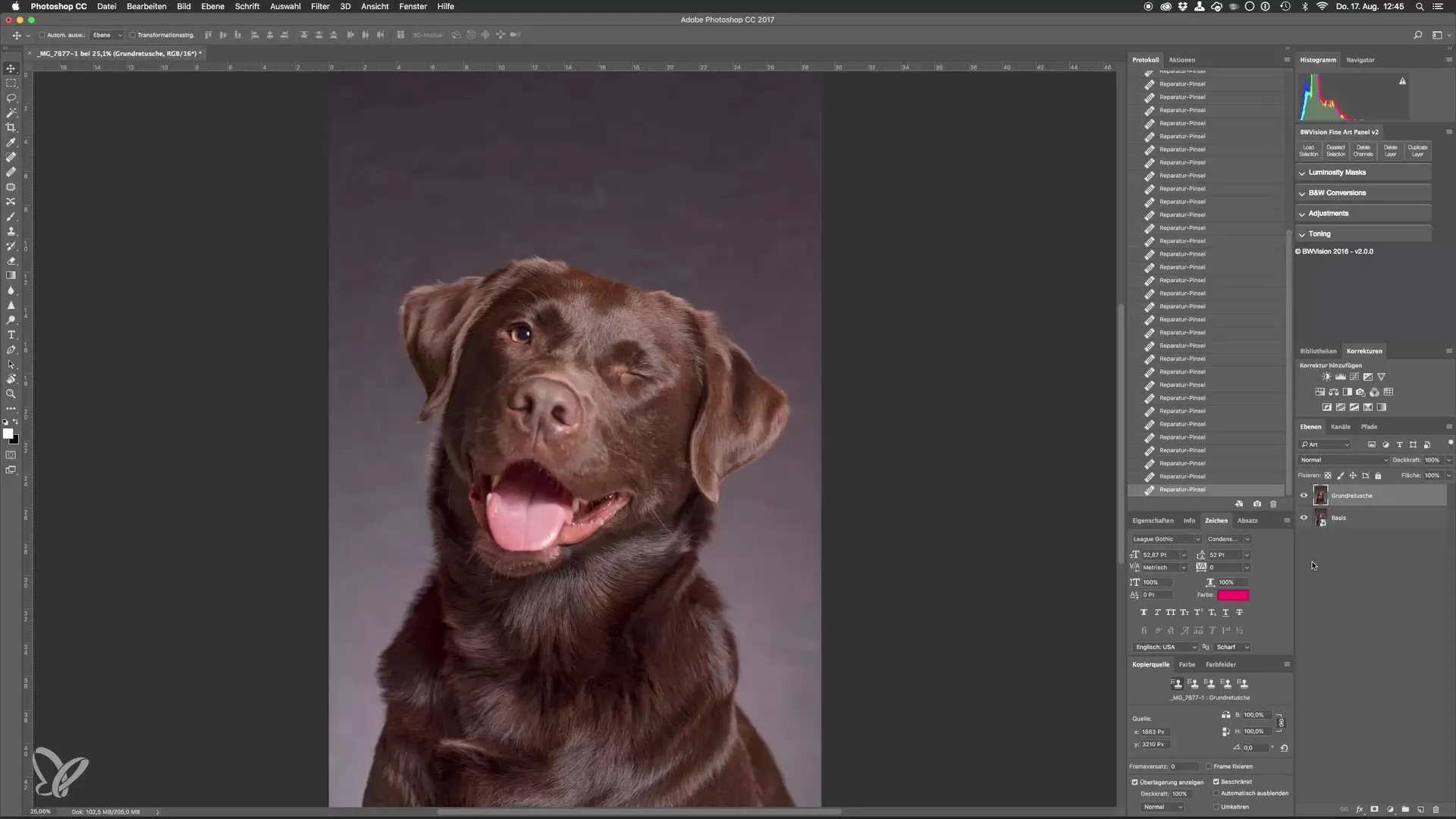 Professionelle Hundeporträts mit Photoshop erstellen Professionelle Hundeporträts mit Photoshop erstellen