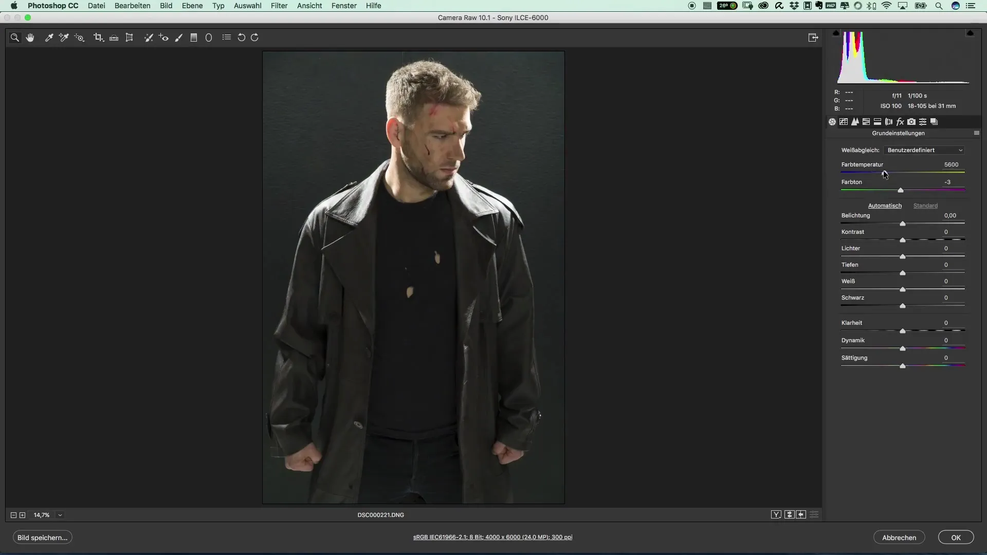 Meistere den Cinematic Look mit Photoshop Meistere den Cinematic Look mit Photoshop