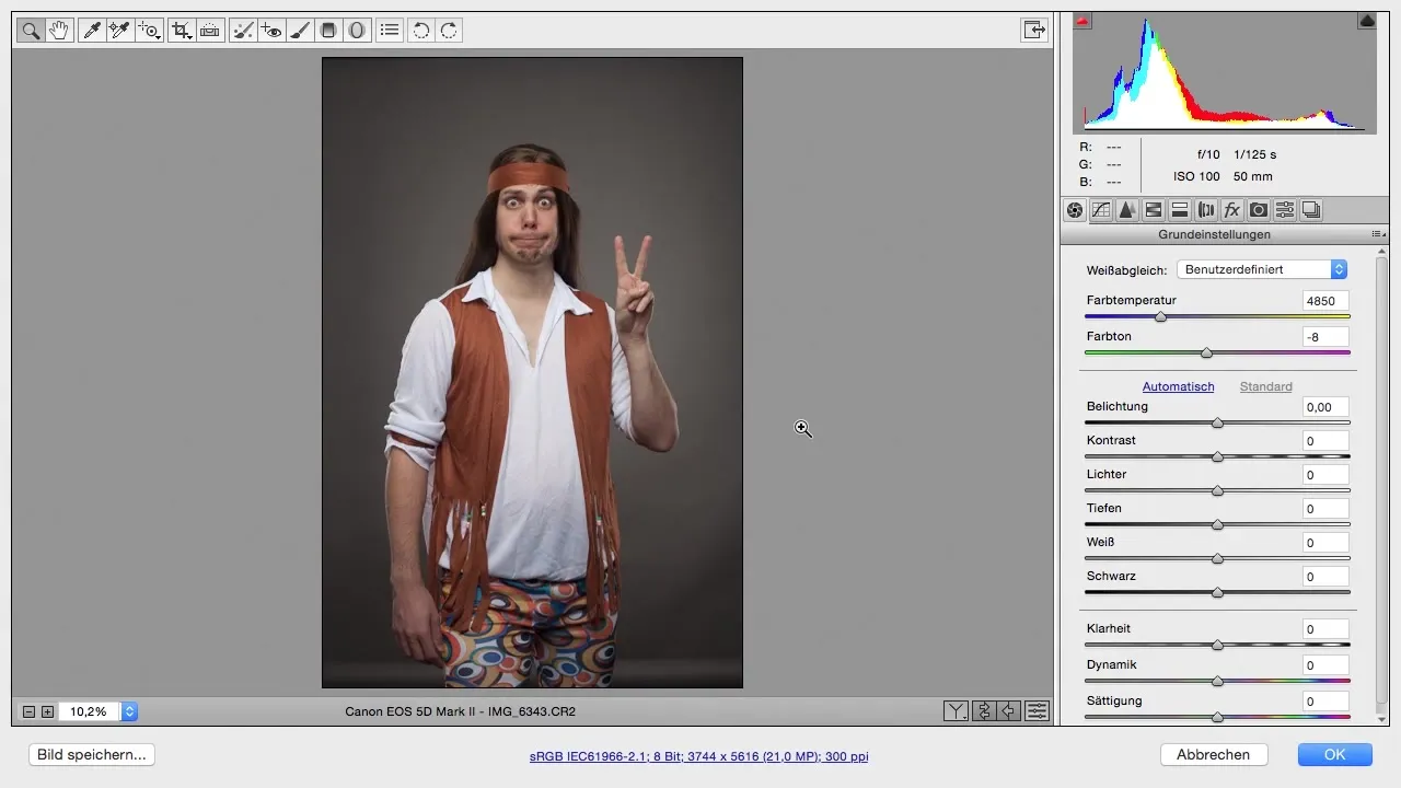 Schrittweise Bildbearbeitung in Camera Raw für Comic-Stil Schrittweise Bildbearbeitung in Camera Raw für Comic-Stil