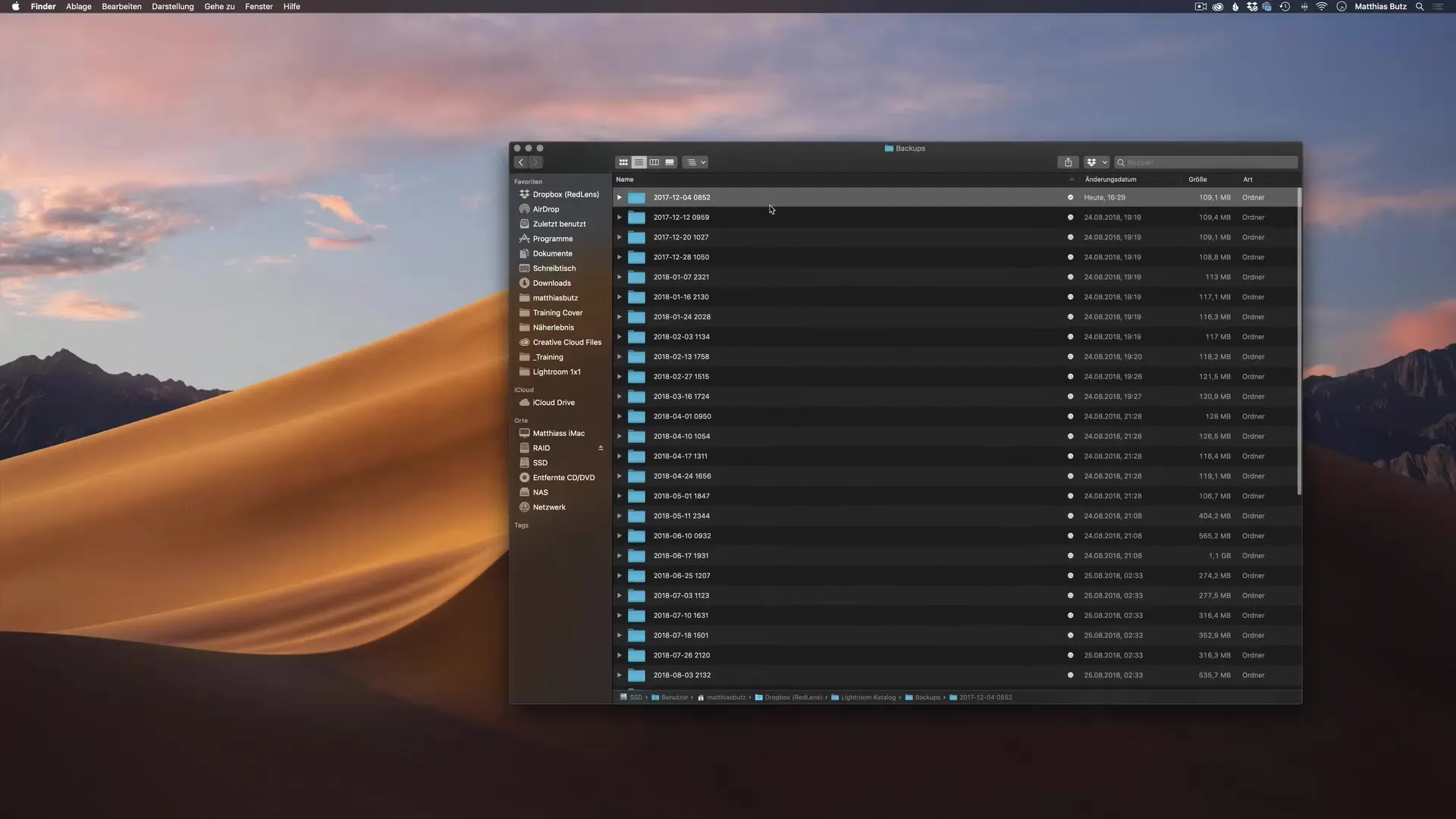 Copia de seguridad regular del catálogo en Lightroom Classic CC, fácilmente