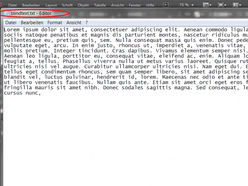 Top 10 double clicks in InDesign