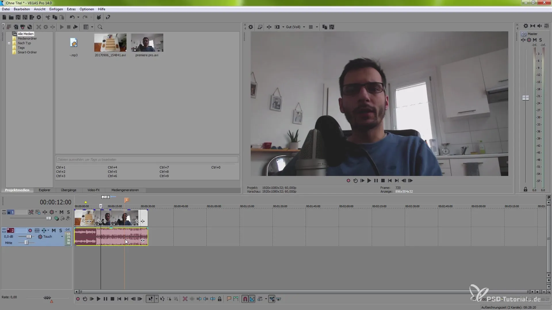 VEGAS Pro 14 - Utilizar guiones y formatos de manera eficaz VEGAS Pro 14 – Utilizar scripts y formatos de manera efectiva