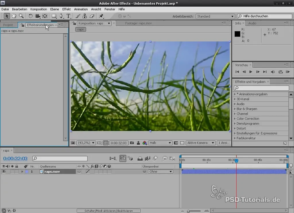 Оптимальное использование предустановок и рабочих областей в After Effects Оптимальное использование настроек и рабочих областей After Effects