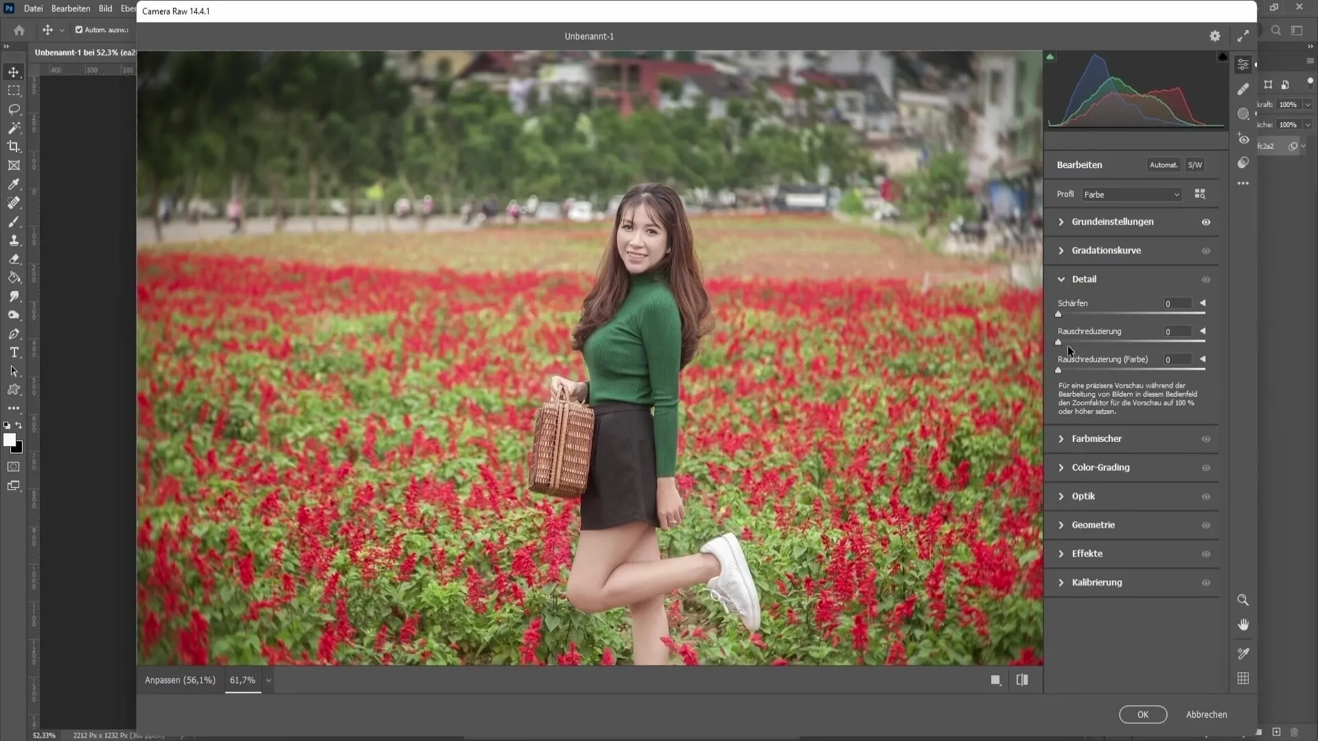 Photoshop 기술 : Camera Raw 필터 기능 2 부 - 헤이즈, 색상 등