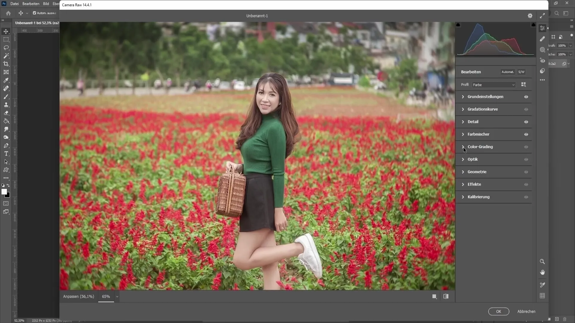 Photoshop 기술 : Camera Raw 필터 기능 2 부 - 헤이즈, 색상 등