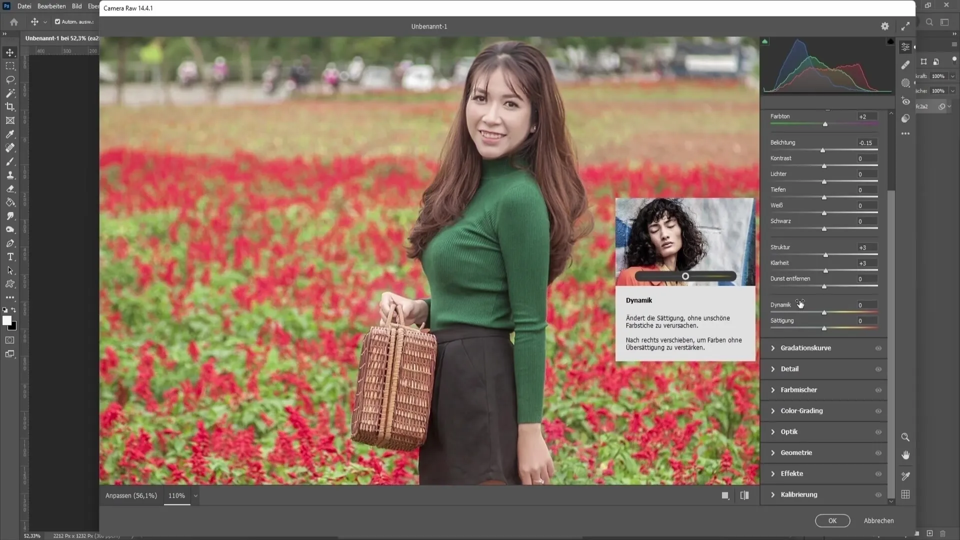 Photoshop 기술 : Camera Raw 필터 기능 2 부 - 헤이즈, 색상 등